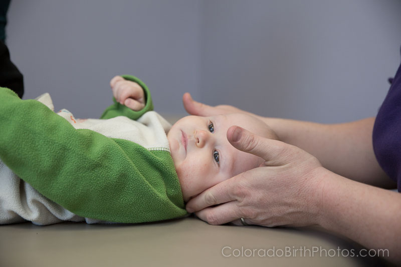 Fort Collins Children Photographer