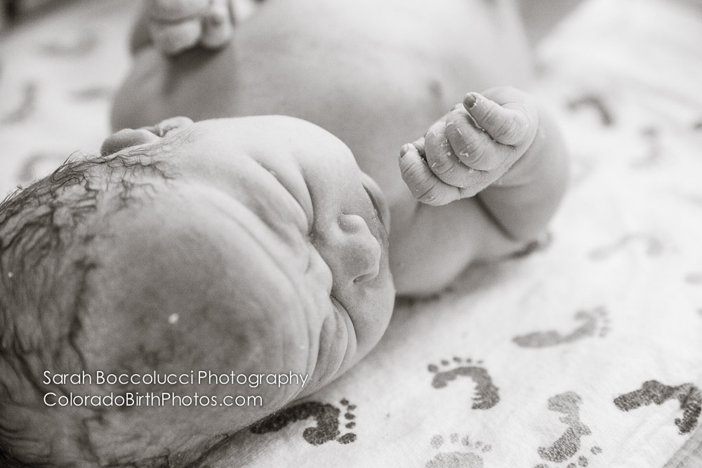 Northern Colorado Birth Photographer - IMG_0283