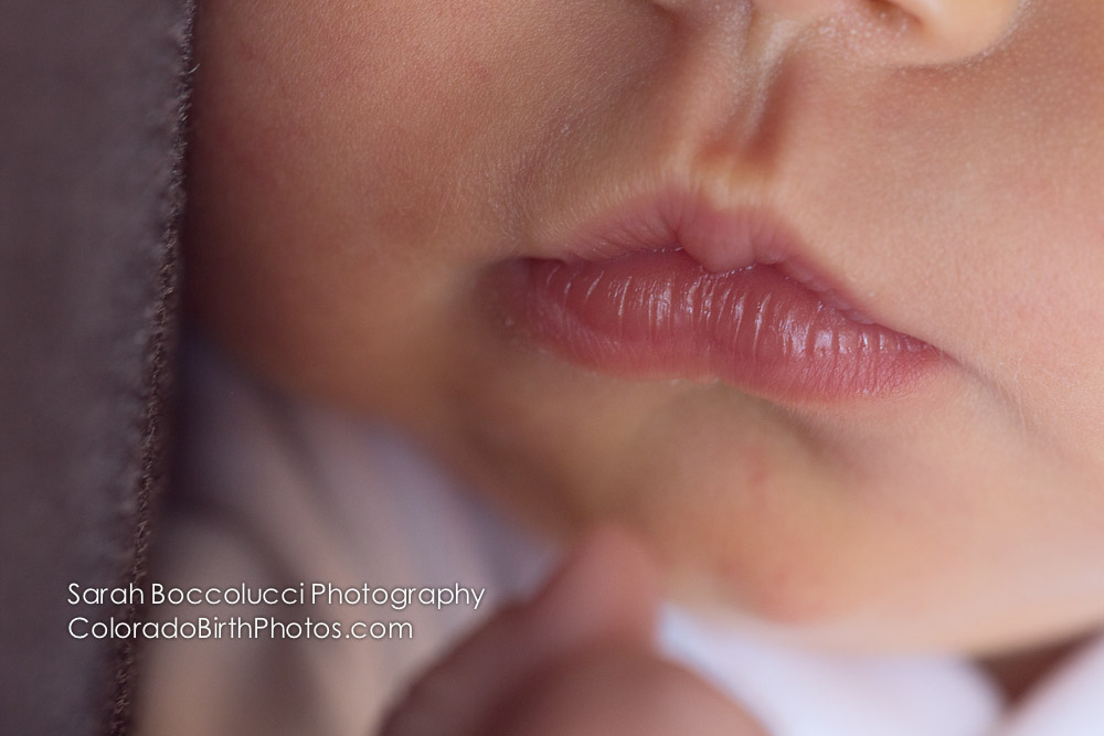 Boulder, CO Newborn Photographer