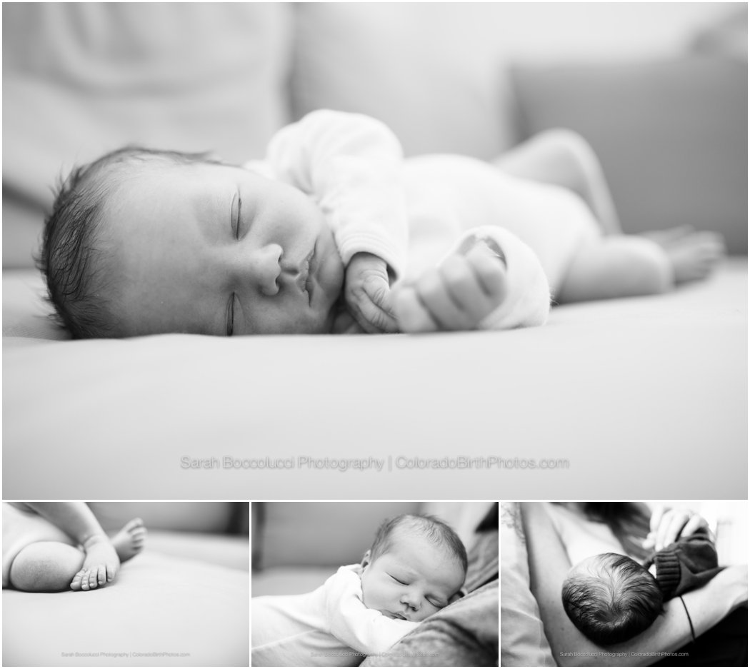 Boulder, Colorado Newborn Photography