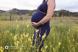 Maternity photos in field