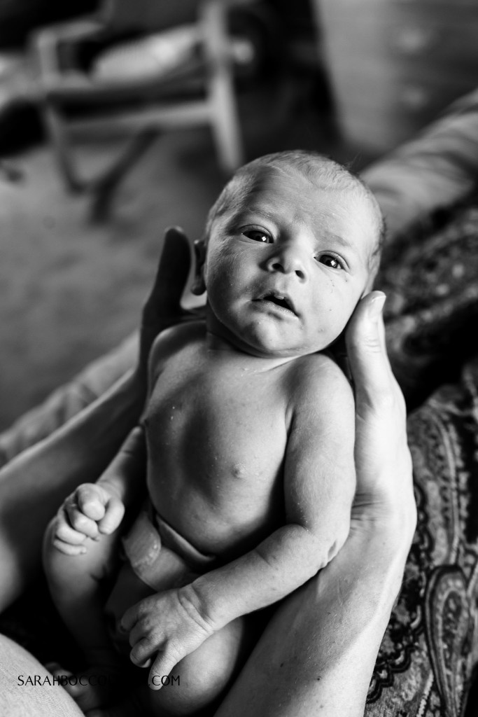 Best Boulder Colorado Newborn Photographer Natural