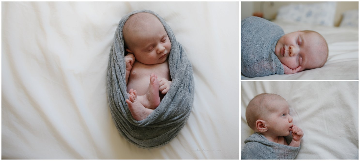 Longmont, CO Newborn Photographer, Baby in Wrap