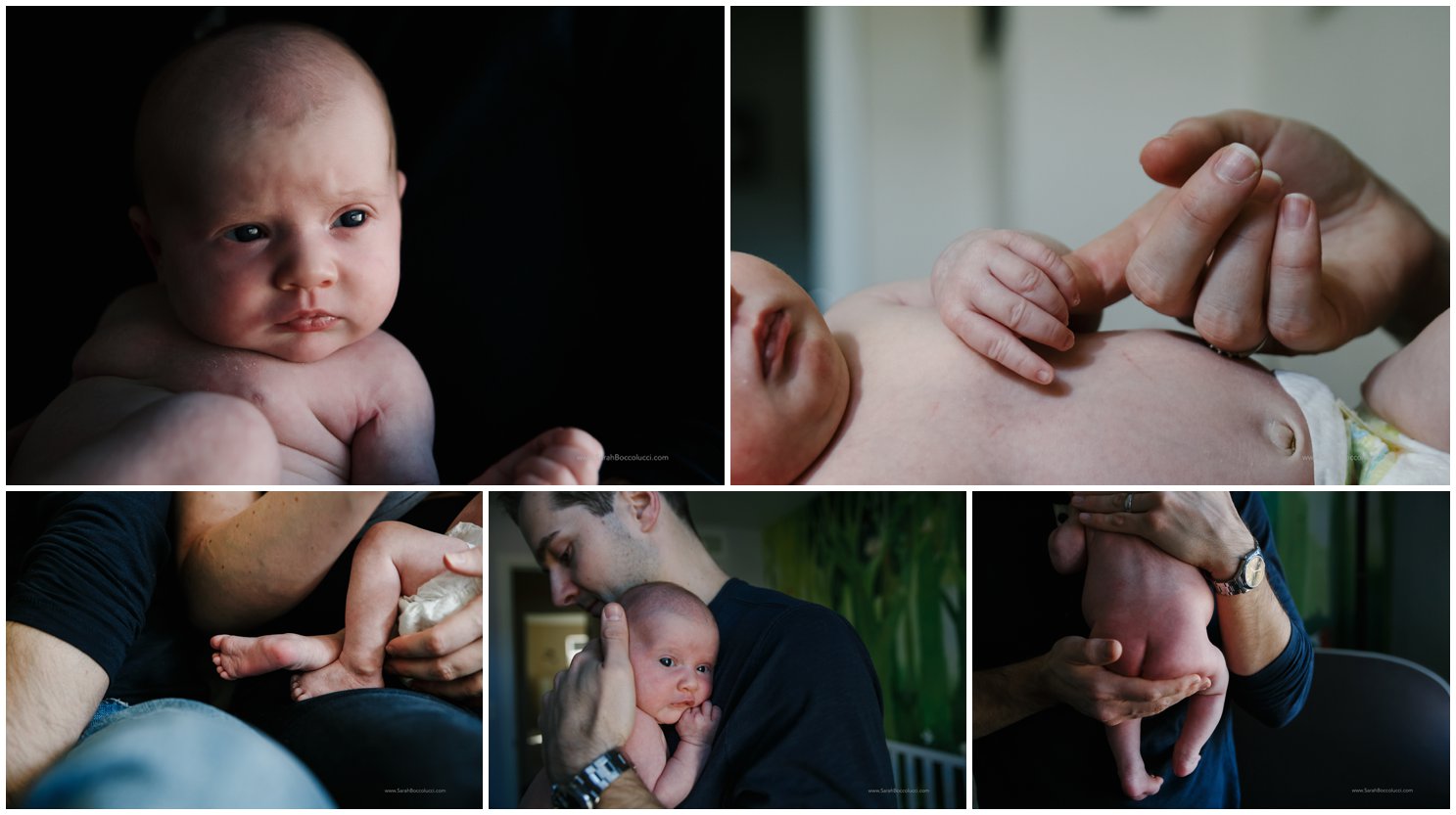 Longmont, CO Newborn Photographer, Baby with Dad