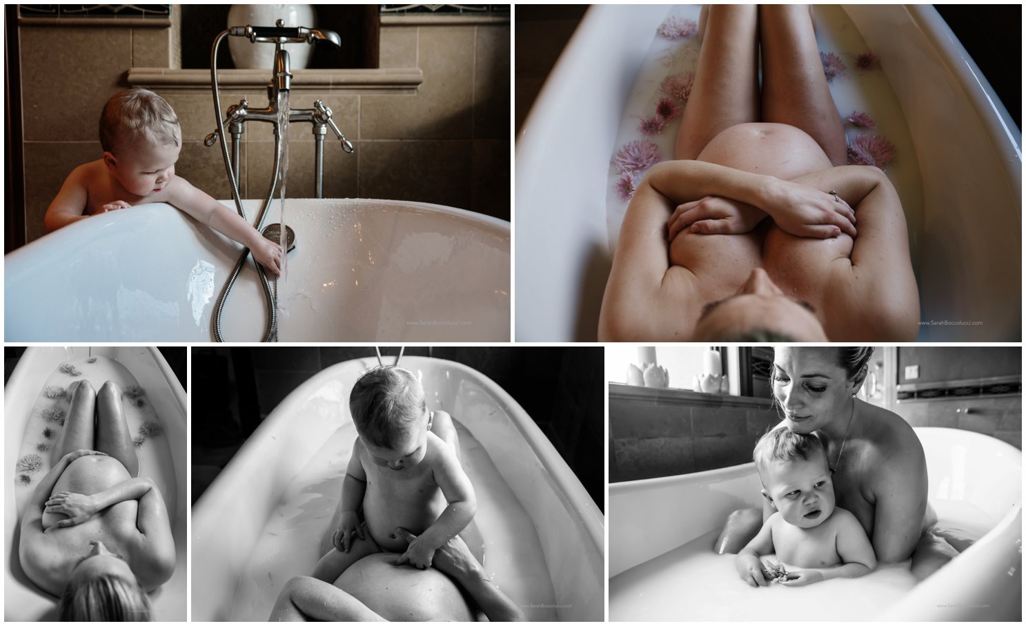 Niwot, CO maternity session milk bath