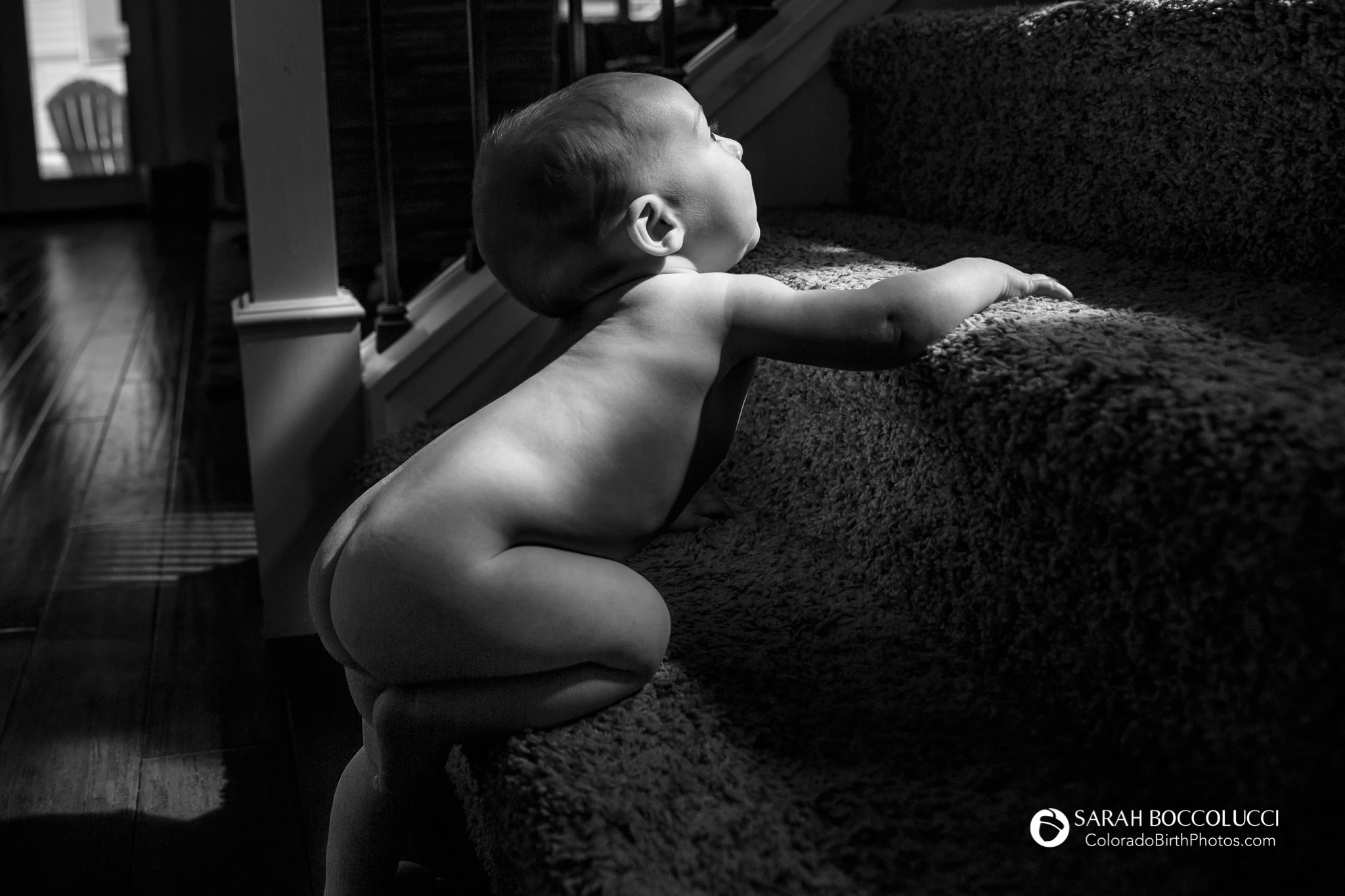 Longmont_Colorado_Baby_Photographer_Crawling_Up_Stairs