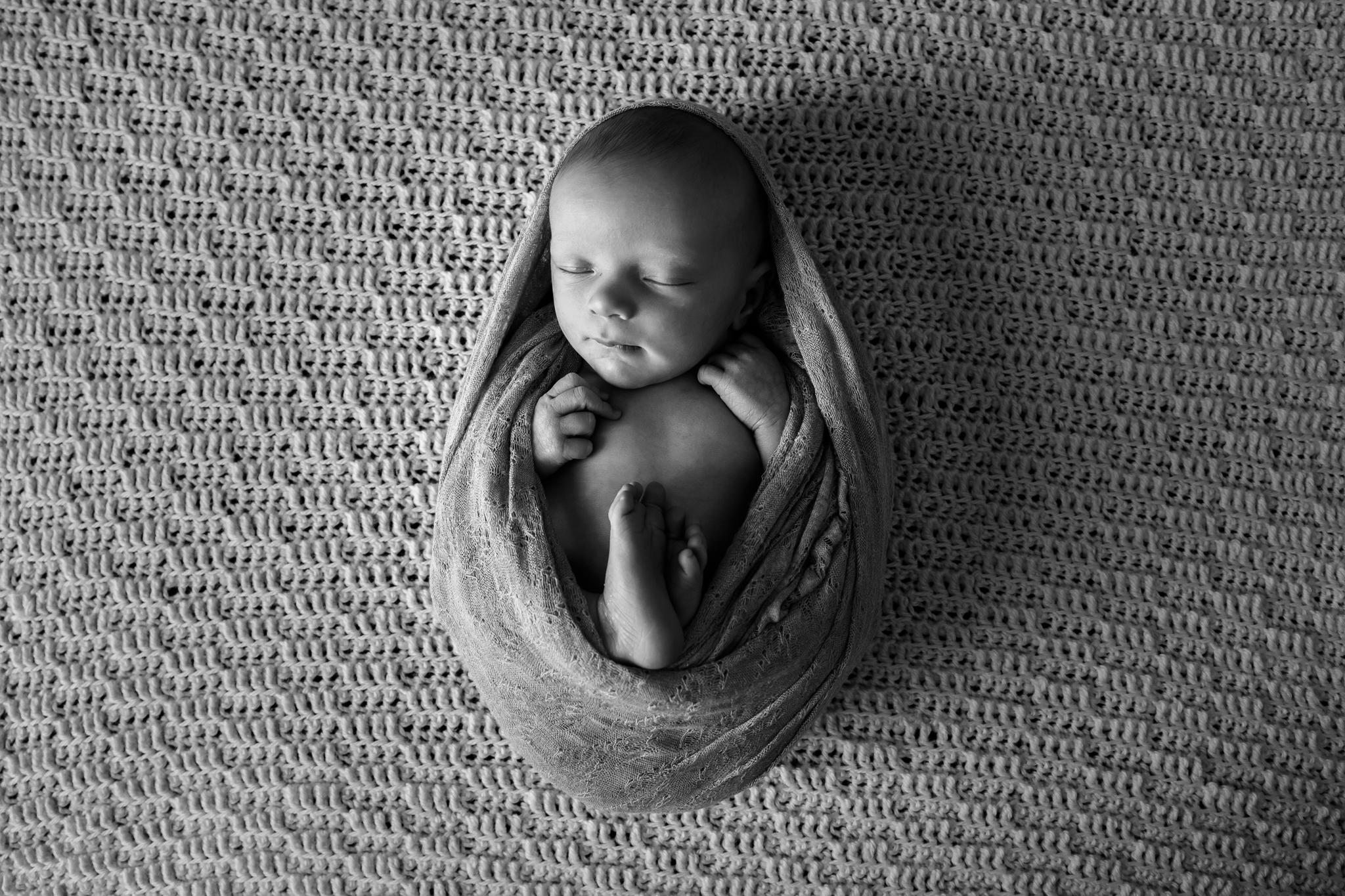 Westminster Colorado Newborn photographer baby wrapped up