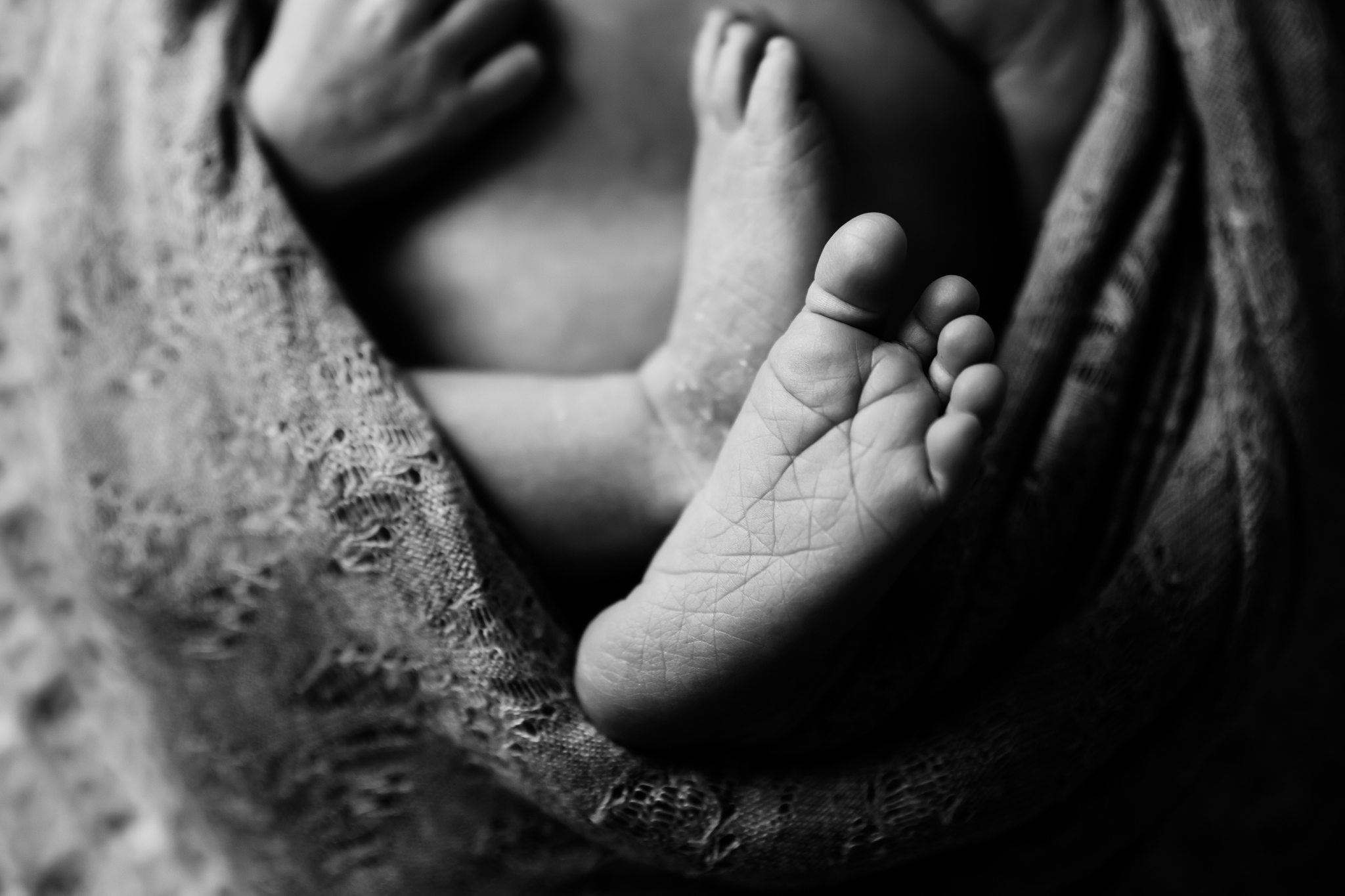 Westminster Colorado Newborn photographer baby feet