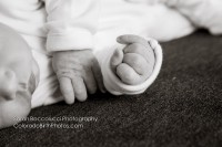 Boulder, CO Newborn Photographer